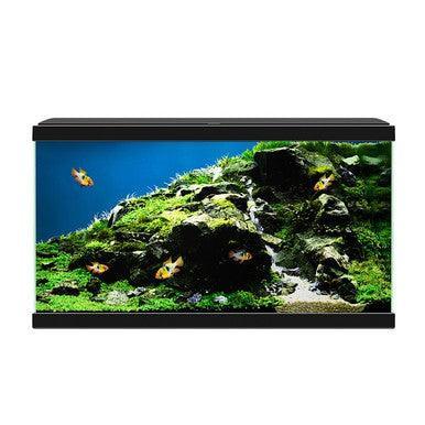 Ciano Aquarium 60 LED Black 58L - North East Pet Shop Ciano