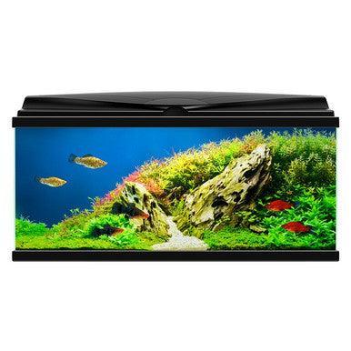 Ciano Aquarium 80 LED Black 75L - North East Pet Shop Ciano