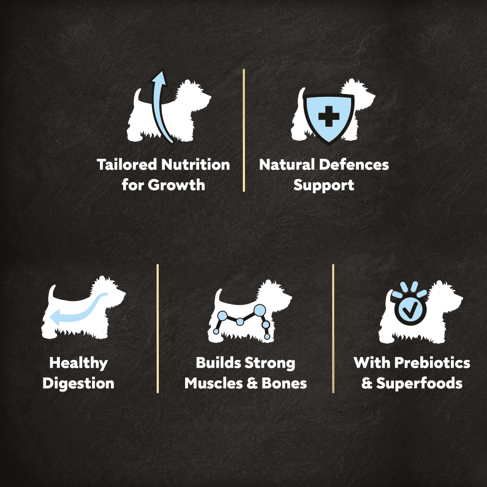 Cesar Dog Complete Dry Puppy with Chicken, Rice and Vegetables 1.4kg