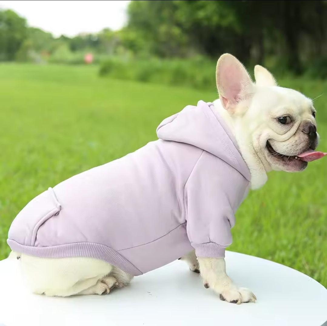 Dog Shack UK! Hoody For Dogs - North East Pet Shop Dog Shack UK