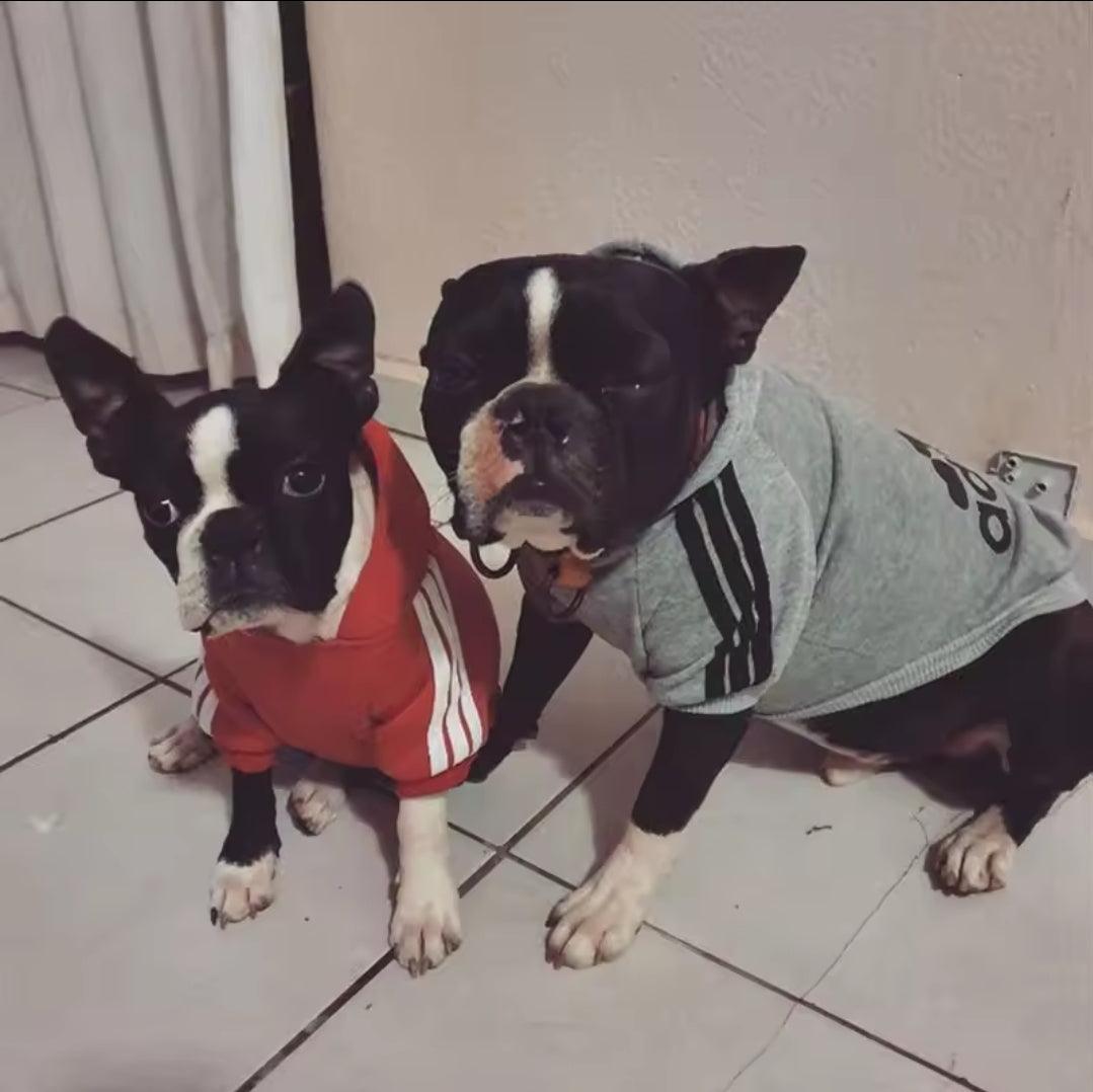 Footy Dog Hoody! - North East Pet Shop Dog Shack UK