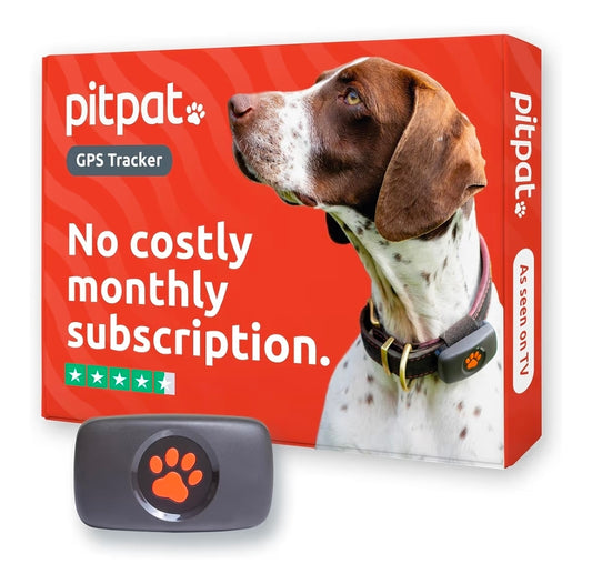 PitPat Collar GPS Tracker