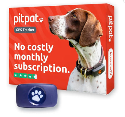 PitPat Collar GPS Tracker