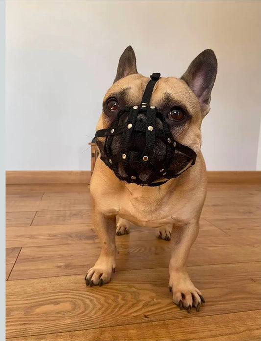 Dog Muzzle for French Bulldog "Frenchies" a Other similar snouts short snout