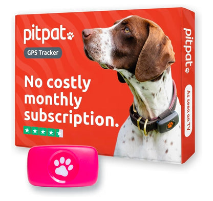 PitPat Collar GPS Tracker