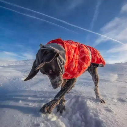 Dog Shack Winter Sherpa Dog Coat.