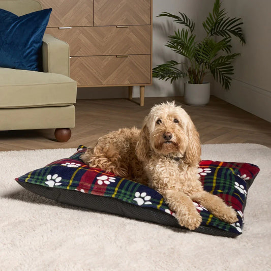 Oxford Paw Print Pet Bed - Navy/Red