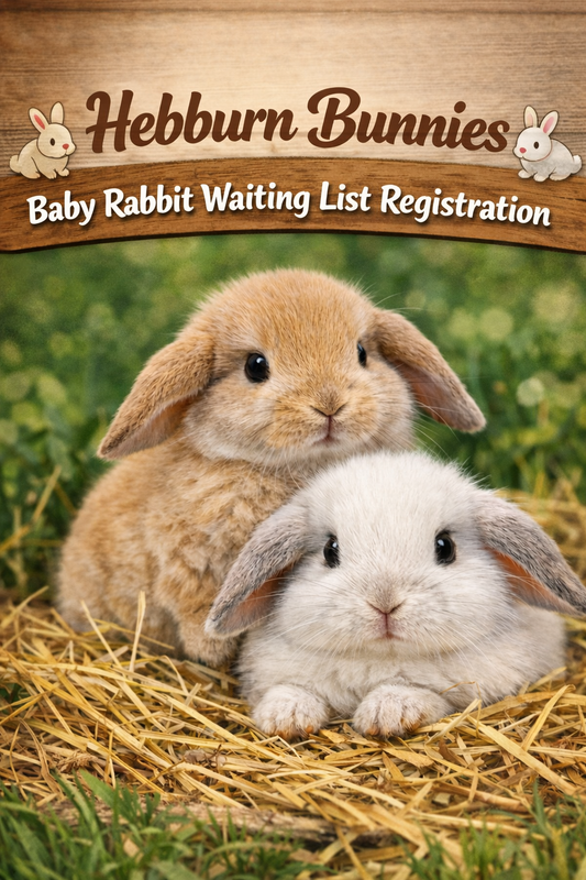 Hebburn Bunnies – Baby Rabbit Waiting List Registration