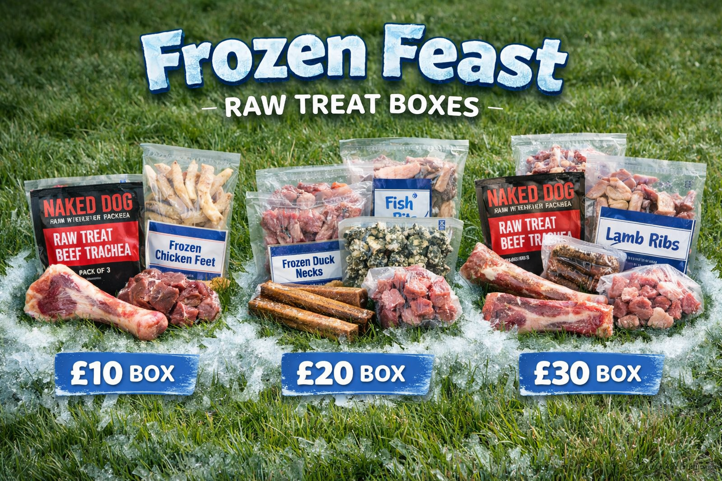 Primal Frozen Treat Selection