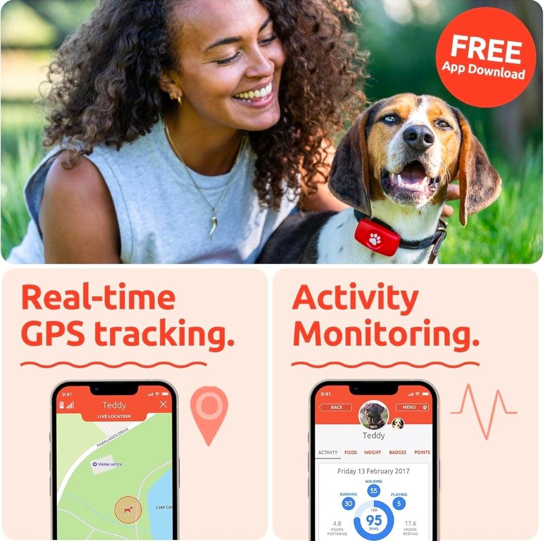 PitPat Collar GPS Tracker