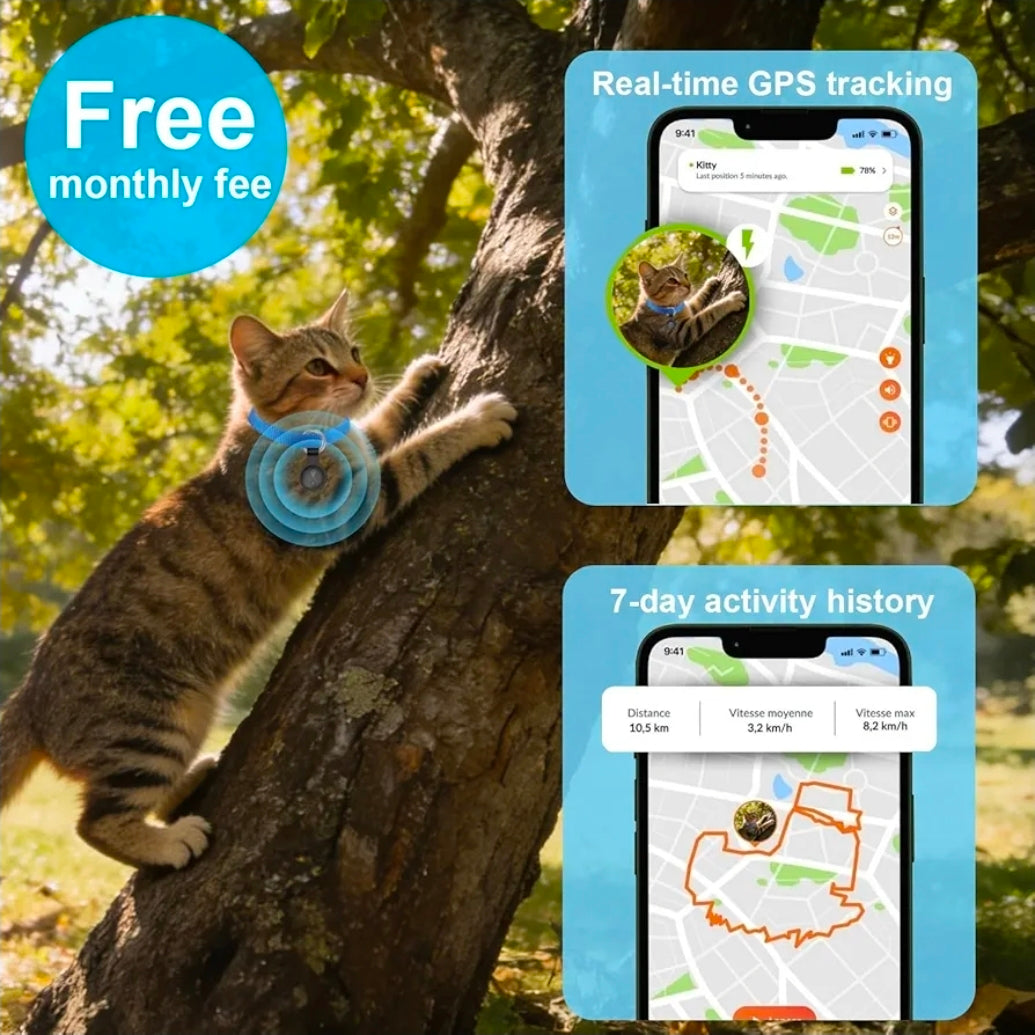 Pet Live Collar Tracker