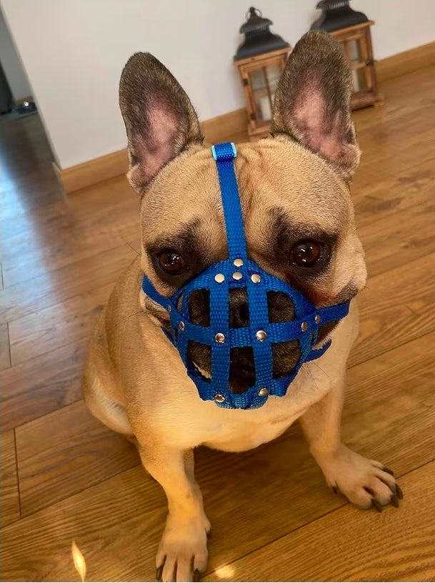 Dog Muzzle for French Bulldog "Frenchies" a Other similar snouts short snout