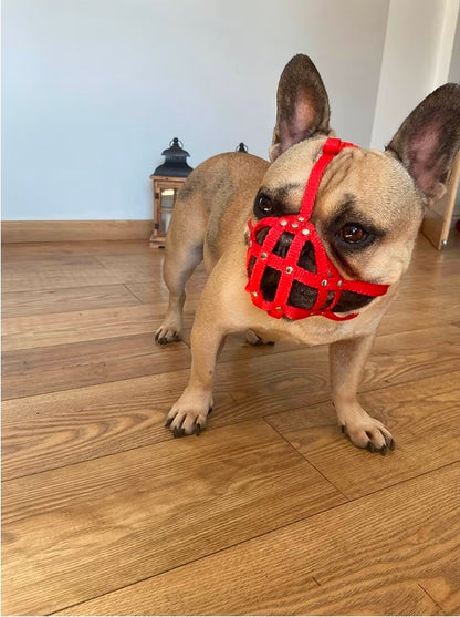 Dog Muzzle for French Bulldog "Frenchies" a Other similar snouts short snout