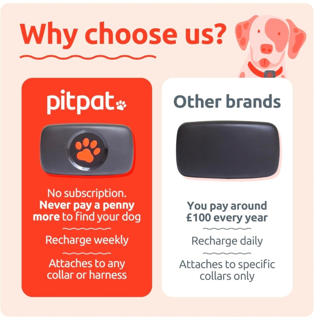 PitPat Collar GPS Tracker