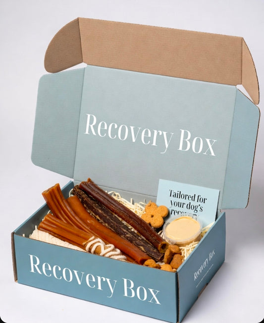 Dog Recovery box