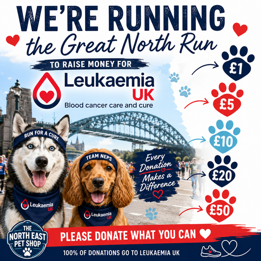 Donation to Leukaemia UK | Great North Run Fundraiser ❤️🏃‍♂️