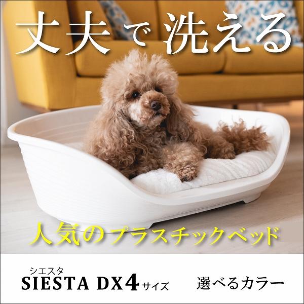 Siesta Deluxe 4 61.5x45x21.5cm