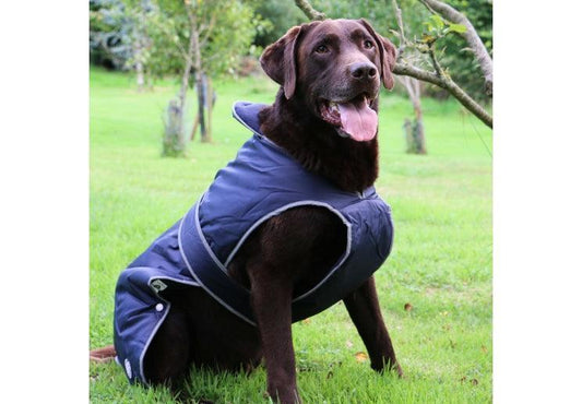 Stormguard Dog Coat Navy S/M - North East Pet Shop Ancol