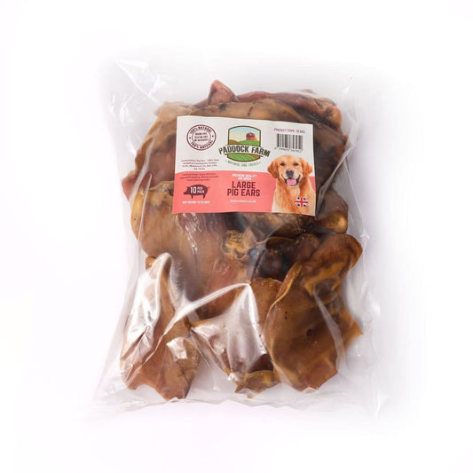 Nova Dog Chews XL Pig Ears (Sow) (Pack of 25)