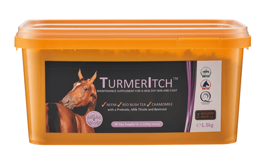 The Golden Paste Co TurmerItch - North East Pet Shop Golden Paste Company