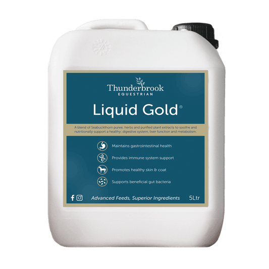 Thunderbrook Liquid Gold - North East Pet Shop Thunderbrook