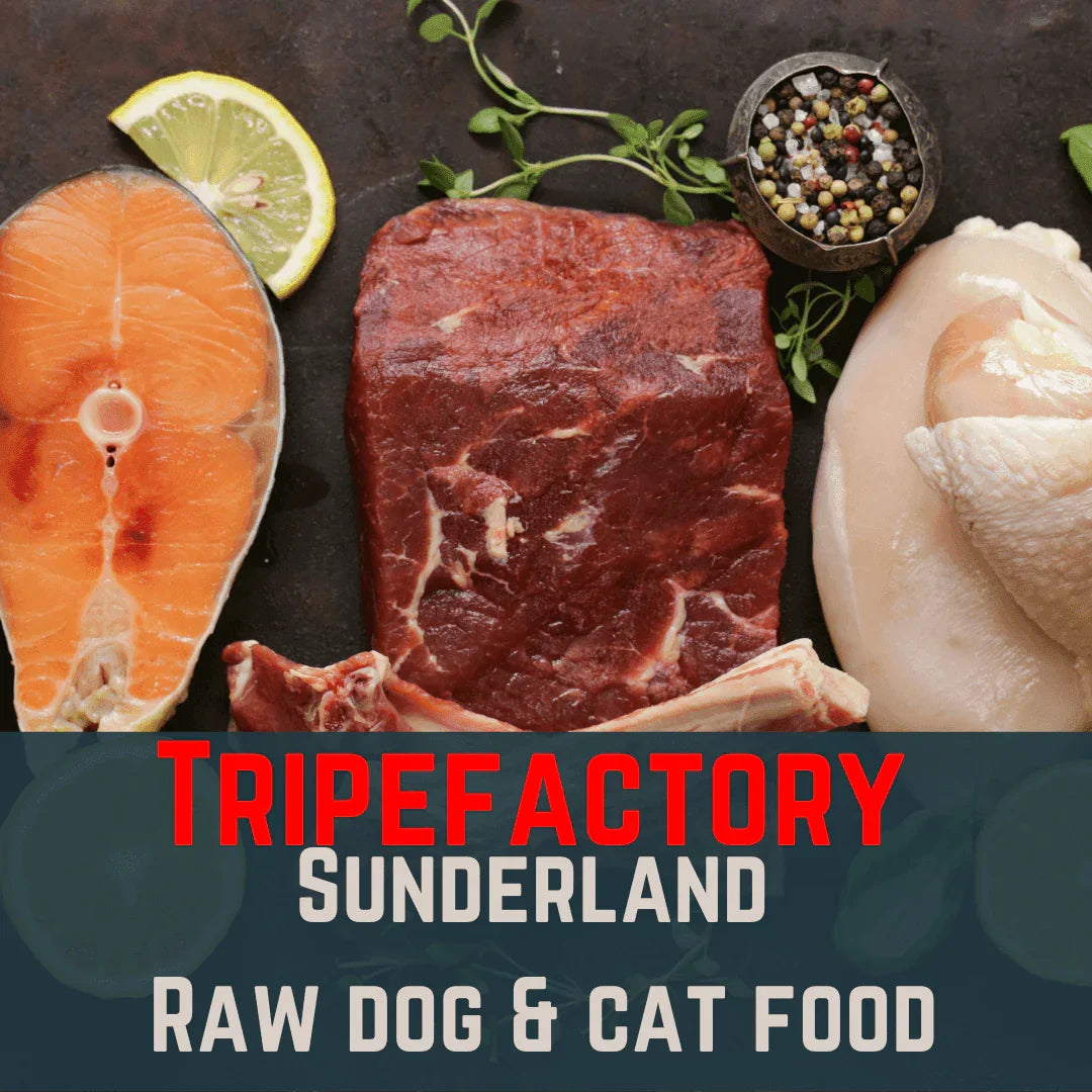 Tripefactory Sunderland - MIXED 80:10:10 20LB BOX - North East Pet Shop Tripefactory Sunderland