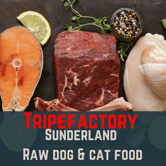 Tripefactory Sunderland - MIXED 80:10:10 20LB BOX - North East Pet Shop Tripefactory Sunderland