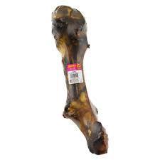 Whole T Rex Bone - North East Pet Shop Dog Shack UK
