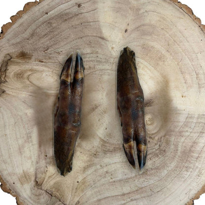 Wild Boar Trotter - North East Pet Shop Paddock Farm