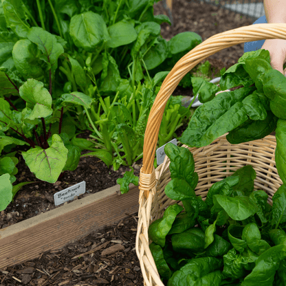 Wintermix Compost Garden Mulch