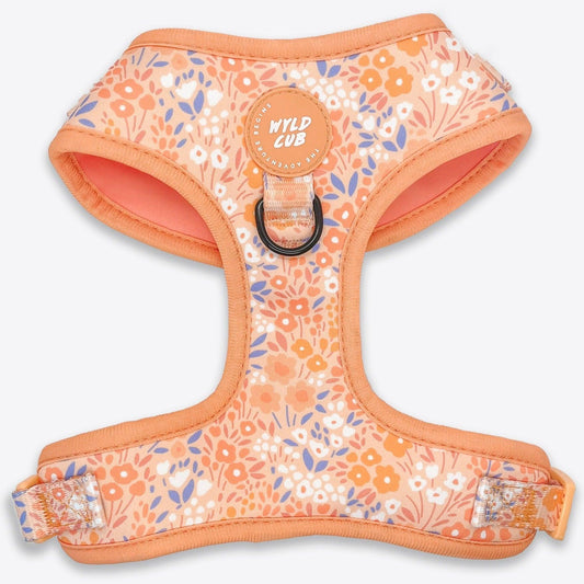 Wyld Cub - Adjustable Dog Harness: Notting Hill Buttercup - North East Pet Shop Wyld Cub