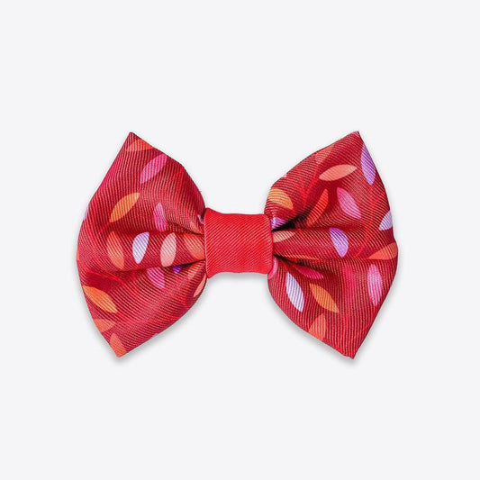 Wyld Cub - Dog Bow Tie: Hampstead Fireside - North East Pet Shop Wyld Cub