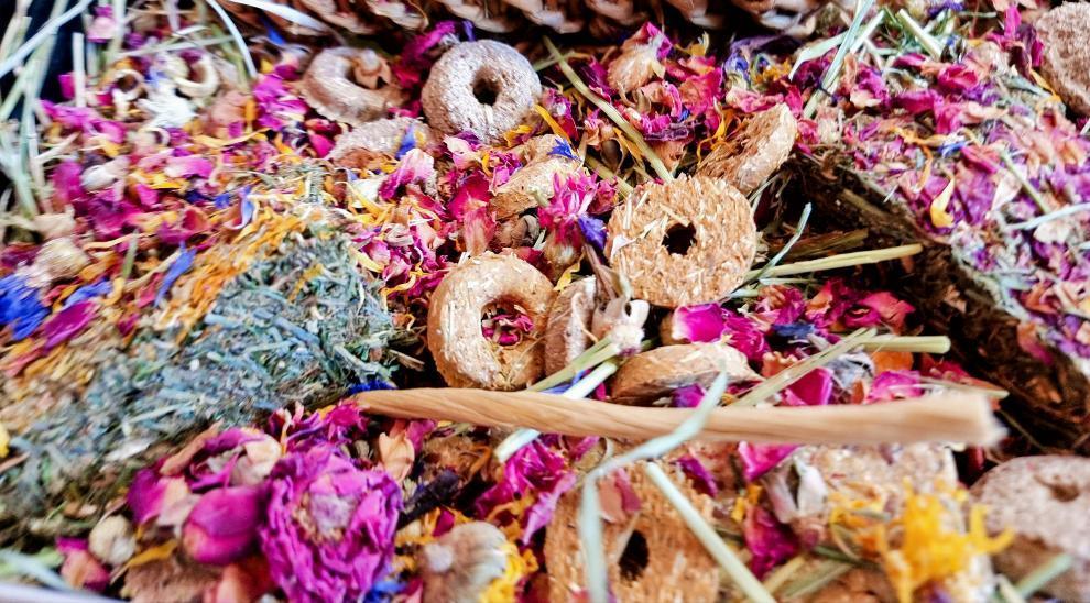 Grazing Forage Box by The North East Pet Shop - North East Pet Shop North East Pet Shop